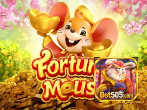 BET505 login — configurações de segurança e proteção de conta